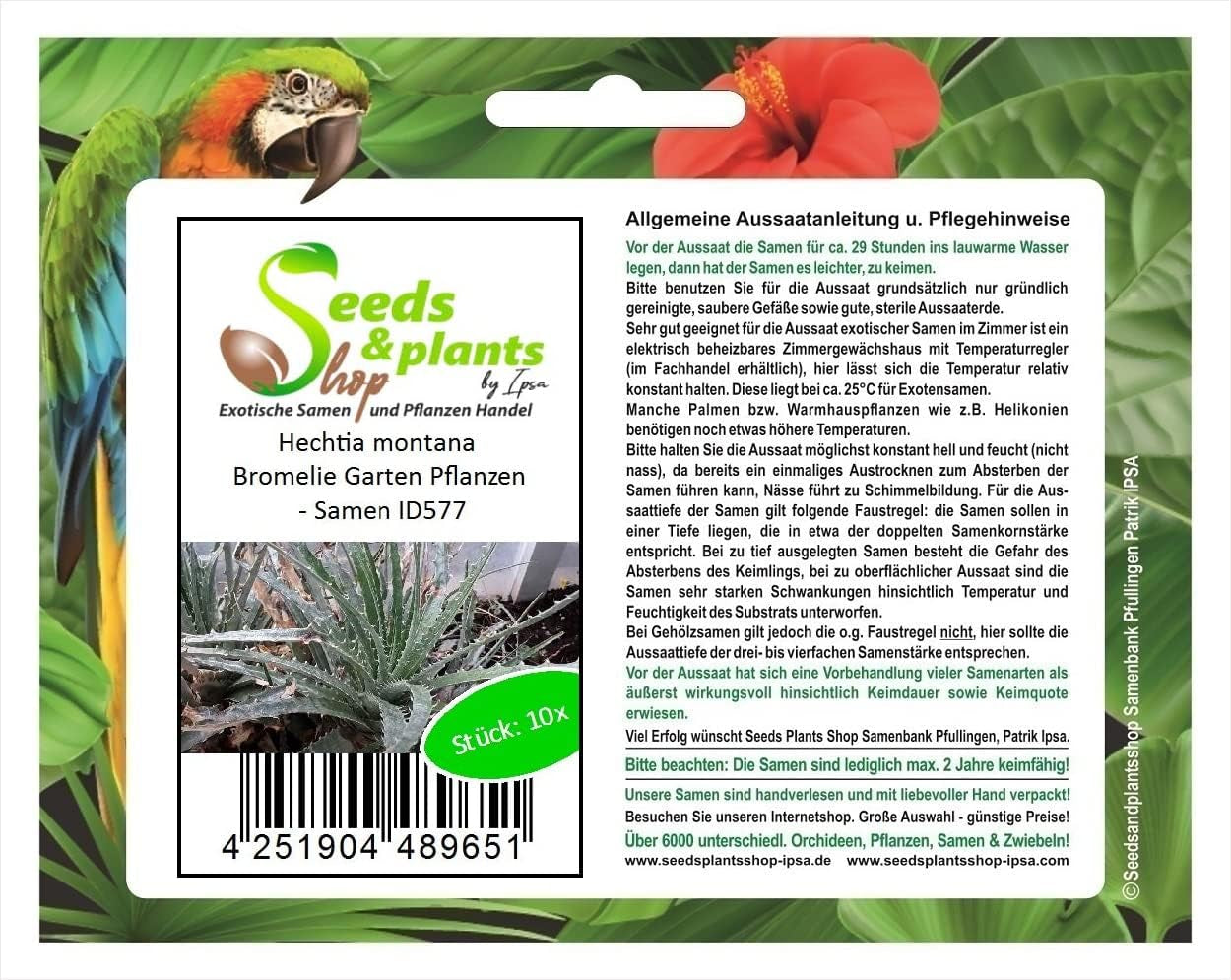 Stk - 10X Hechtia Montana Bromelie Garten Pflanzen - Samen ID577 -