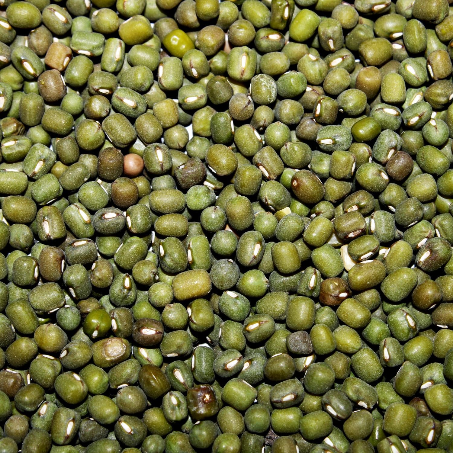 AFROASE - Haricots verts mungo - 1 x 1 kg (Pack de 2)