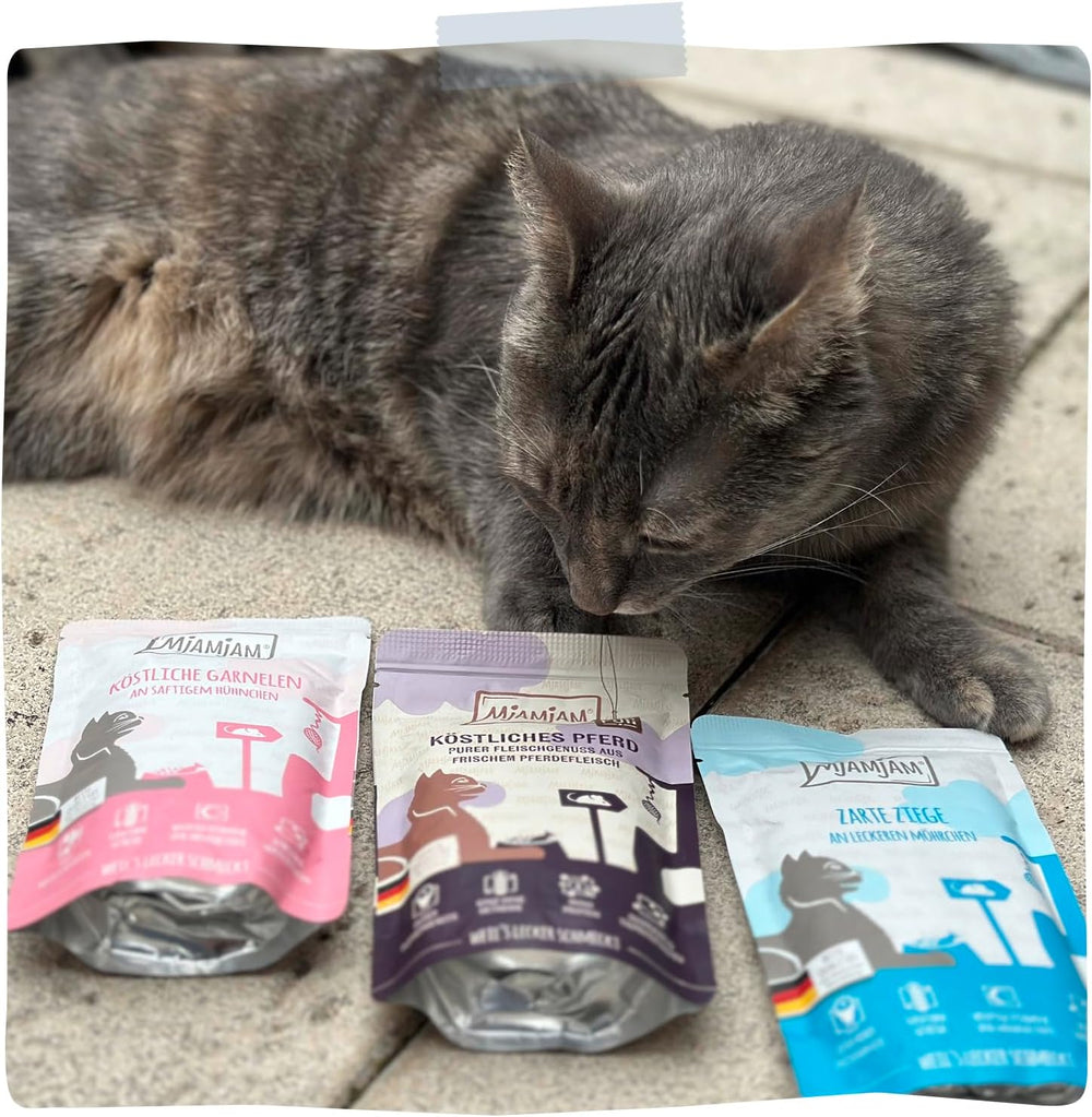 MjAMjAM - Nourriture humide de qualité supérieure pour chat - Delicious Mix Pack III Repas pour votre chat Pack de 6 (6 x 200 g) sans céréales avec de la viande supplémentaire