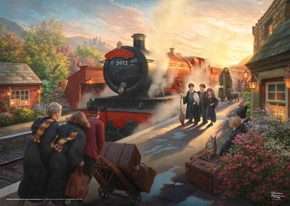 Wizarding World Harry Potter Puzzle Poudlard Express Naty Shop