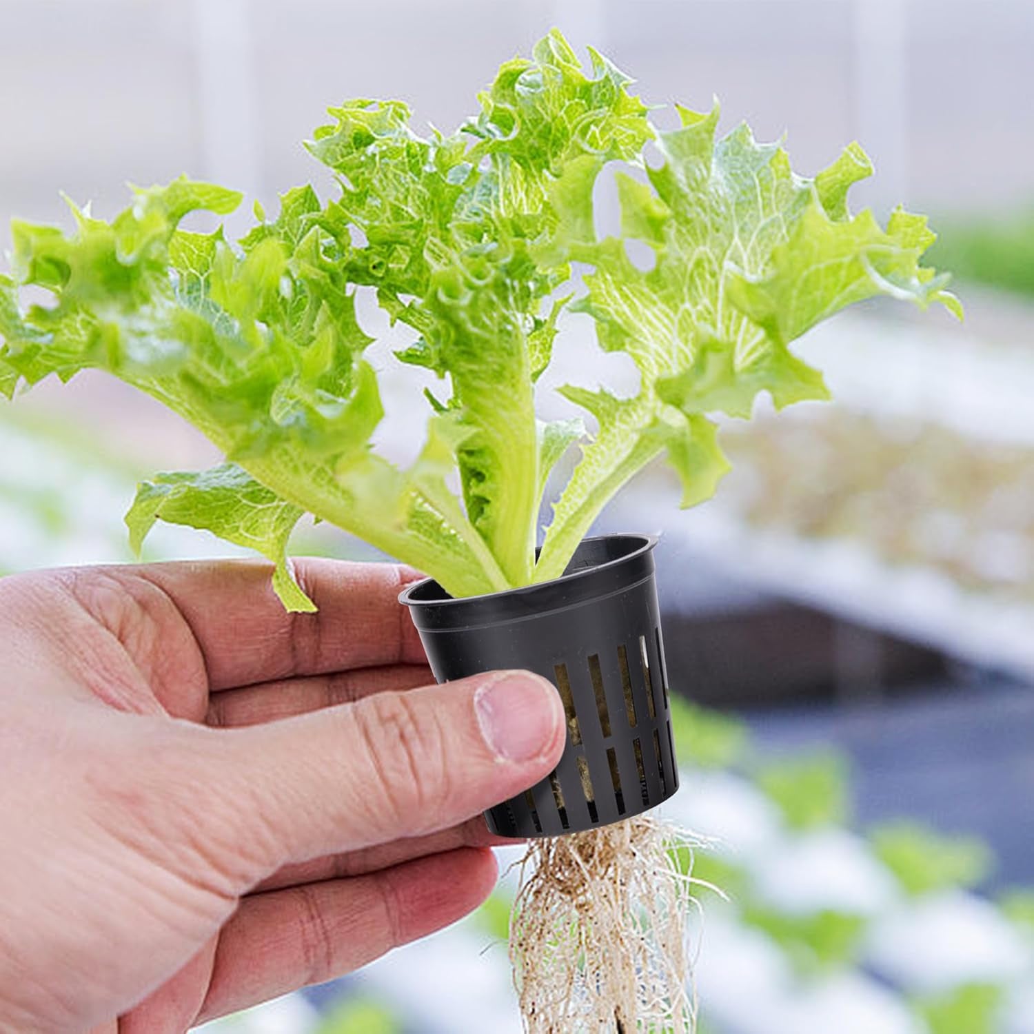 Kit de filet de culture hydrographique de 76 pièces - 20 pièces de 2 pouces (5 cm) - Filet supérieur avec filet de protection, 36 pièces de fil de pierre, 20 pièces d'articles de nettoyage de jardin en tissu pour la culture hydrographique