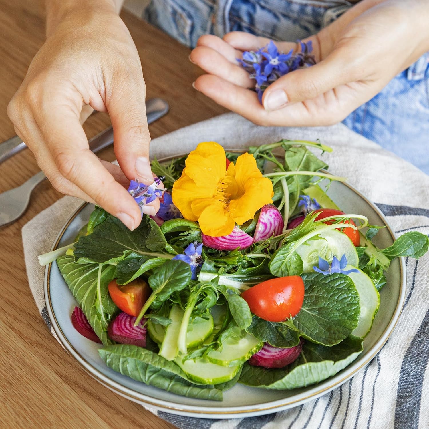 Graines de Laitue : Ensemble de 8 Variétés de Graines de Salade pour le Jardin et le Balcon - Graines de Laitue, Feuille de Moutarde, Mâche (Hardy), Radicchio, Graines d'Endive, Chicorée - Graines de Légumes à Salade de OwnGrown