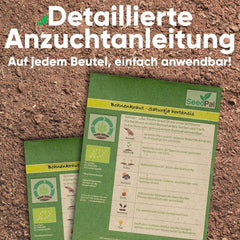 Kräutersamen Set - 12 Beliebtesten Küchenkräuter - Kräuter der Provence, Italian Kräuter - Kräutergarten für Küche oder Balkon - Samen Saatgut - Gartenkräuter Sorten