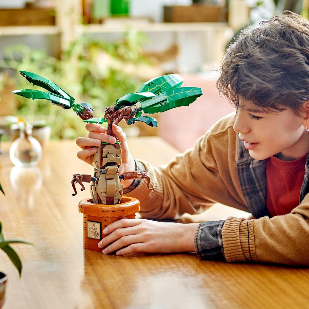 LEGO Harry Potter Zaubertrankpflanze: Alraune, Pflanzen-Spielzeug mit Topf, magisches Geschenk für Mädchen, Jungen und alle Fans, Spielset für fantasievolle Kinder, Wohn-Deko 76433