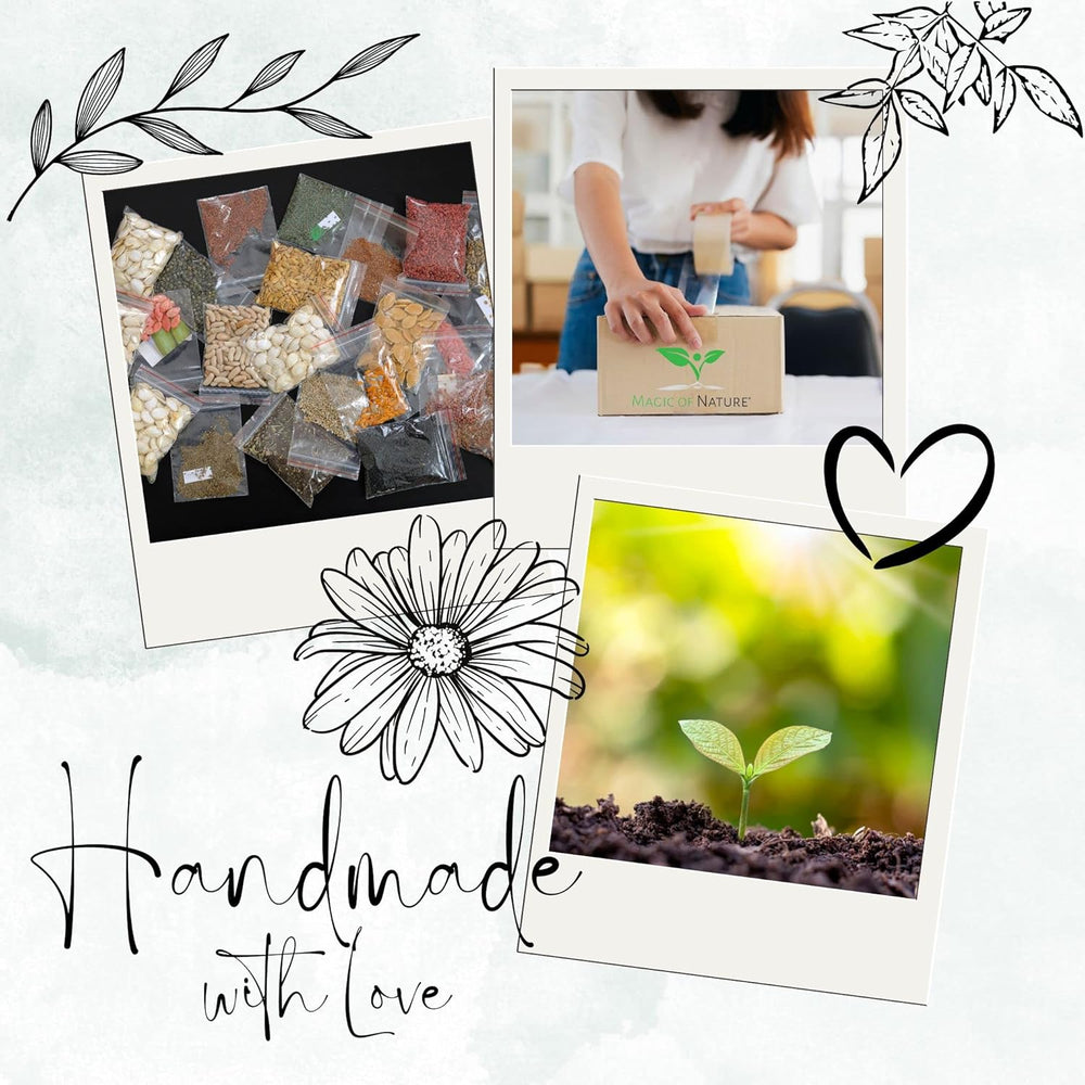 Magic of Nature Oma's Küchenkräuter Box - Anzuchtset - 5 Sorten frische Kräuter Samen - Zum Selberzüchten oder zum Verschenken