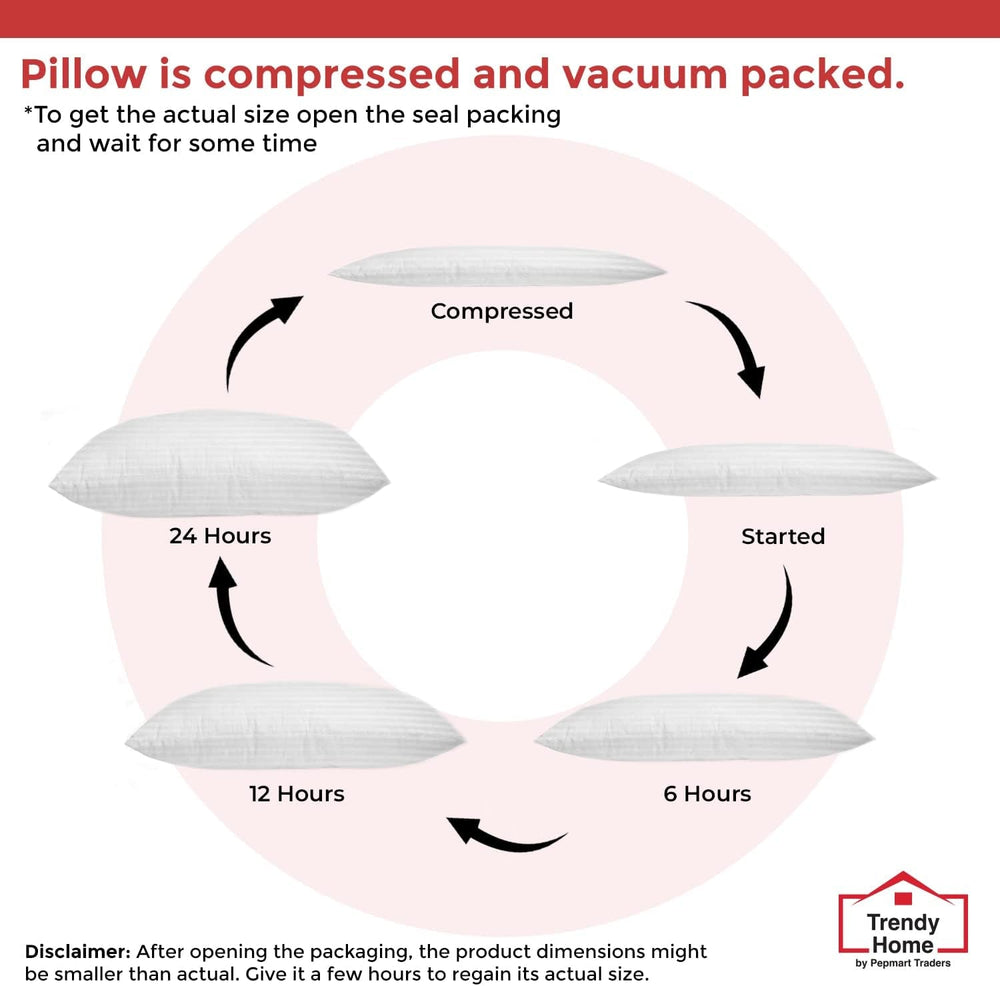 Coussin décoratif tendance pour la maison, soutien lombaire hypoallergénique, pour la maison, l'extérieur, le canapé, lavable en machine, 12 "x 20"