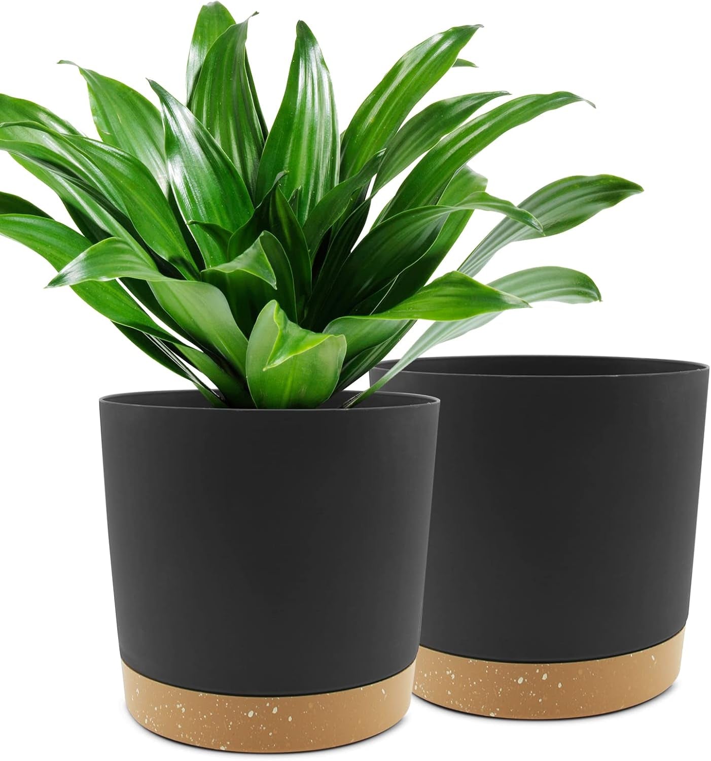 Lot de 2 pots de fleurs de 12,7 cm, pots de fleurs d'intérieur avec trous de drainage et base amovible, soucoupes décoratives modernes pour jardinières d'extérieur (blanc 12,7 cm)