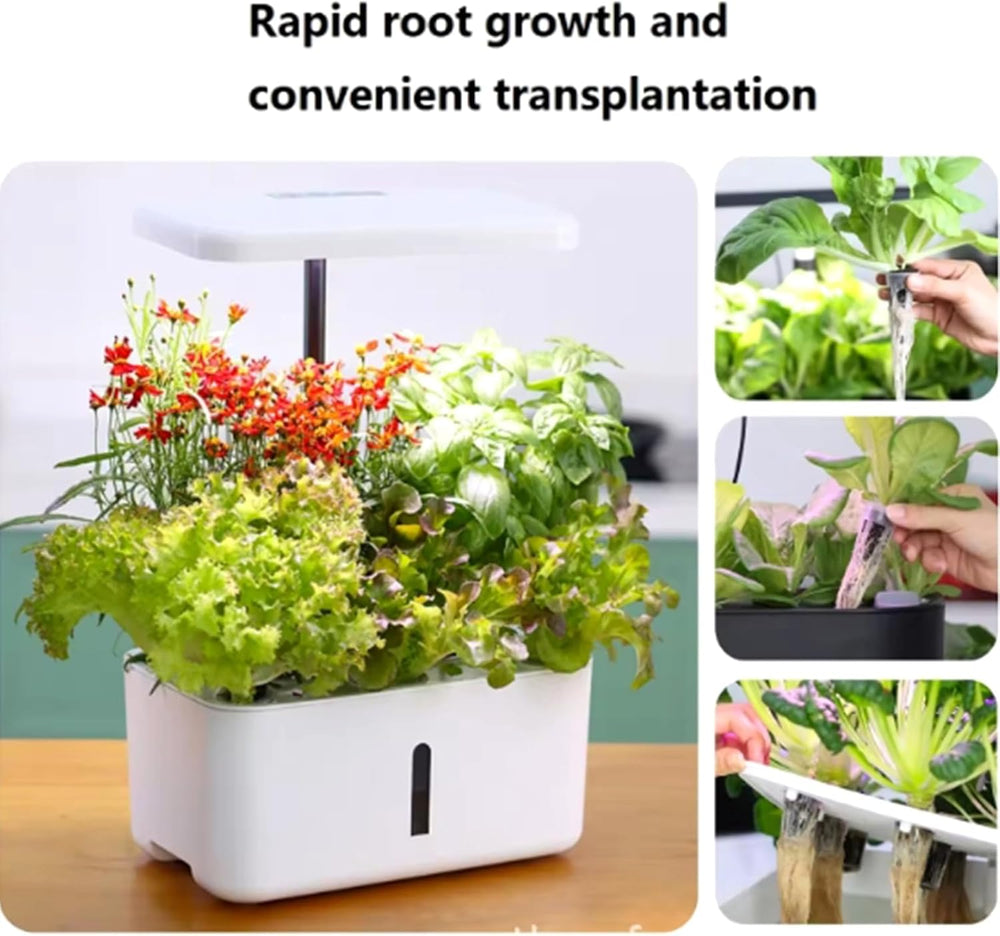 50 éponges de culture de remplacement, tubes d'établissement de semences, bouchons d'éponge de culture de racines, kits de culture hydroponique pour systèmes de culture hydroponique, culture hydroponique d'intérieur, jardin