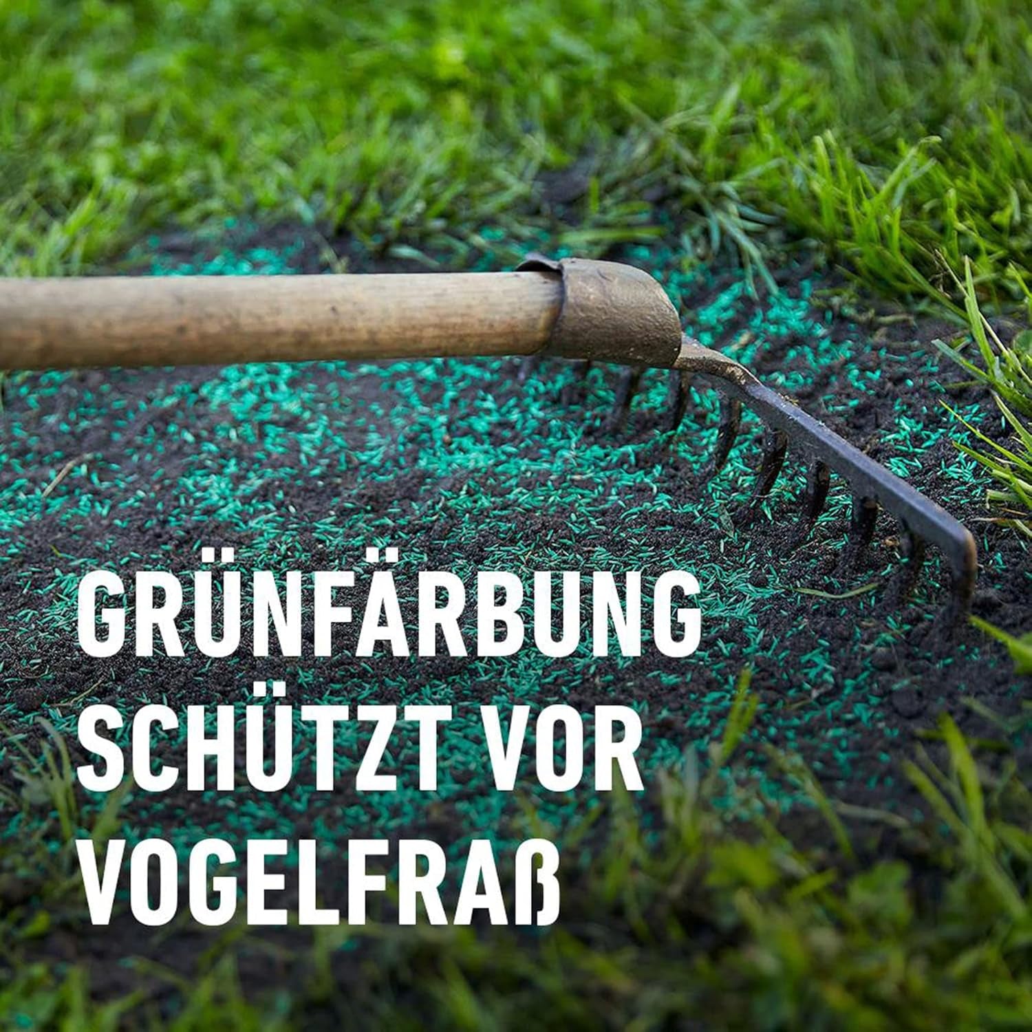 Compo SAAT® Trocken-Rasen 2Kg Für 80M²
