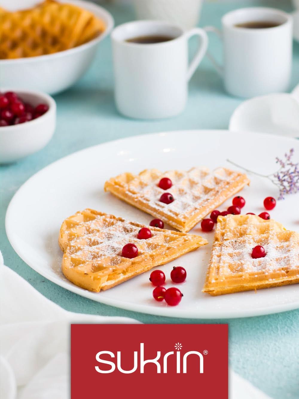 Sukrin Erythritol, alternative naturelle au sucre sans calories, 1 paquet, 500 grammes Édulcorants Naty Shop