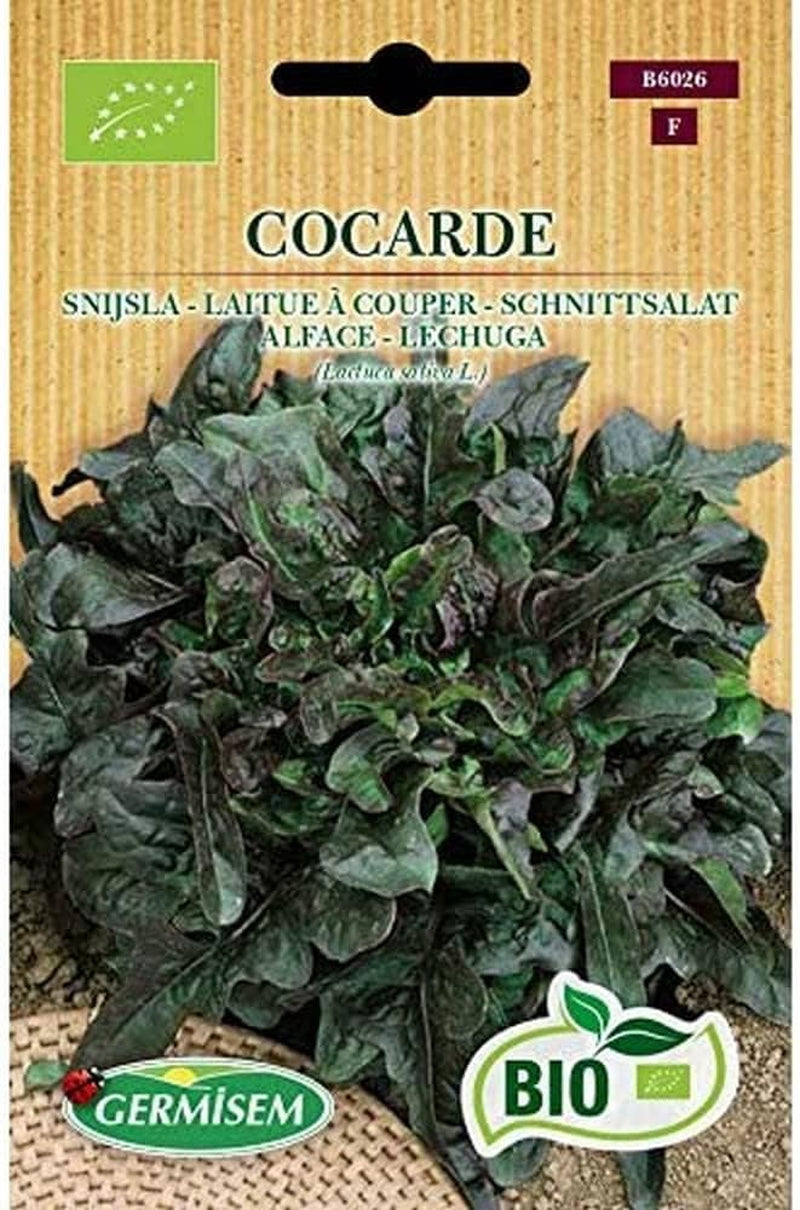 Schnittsalat BABY LEAF ASIAN MIX, ECBIO6022