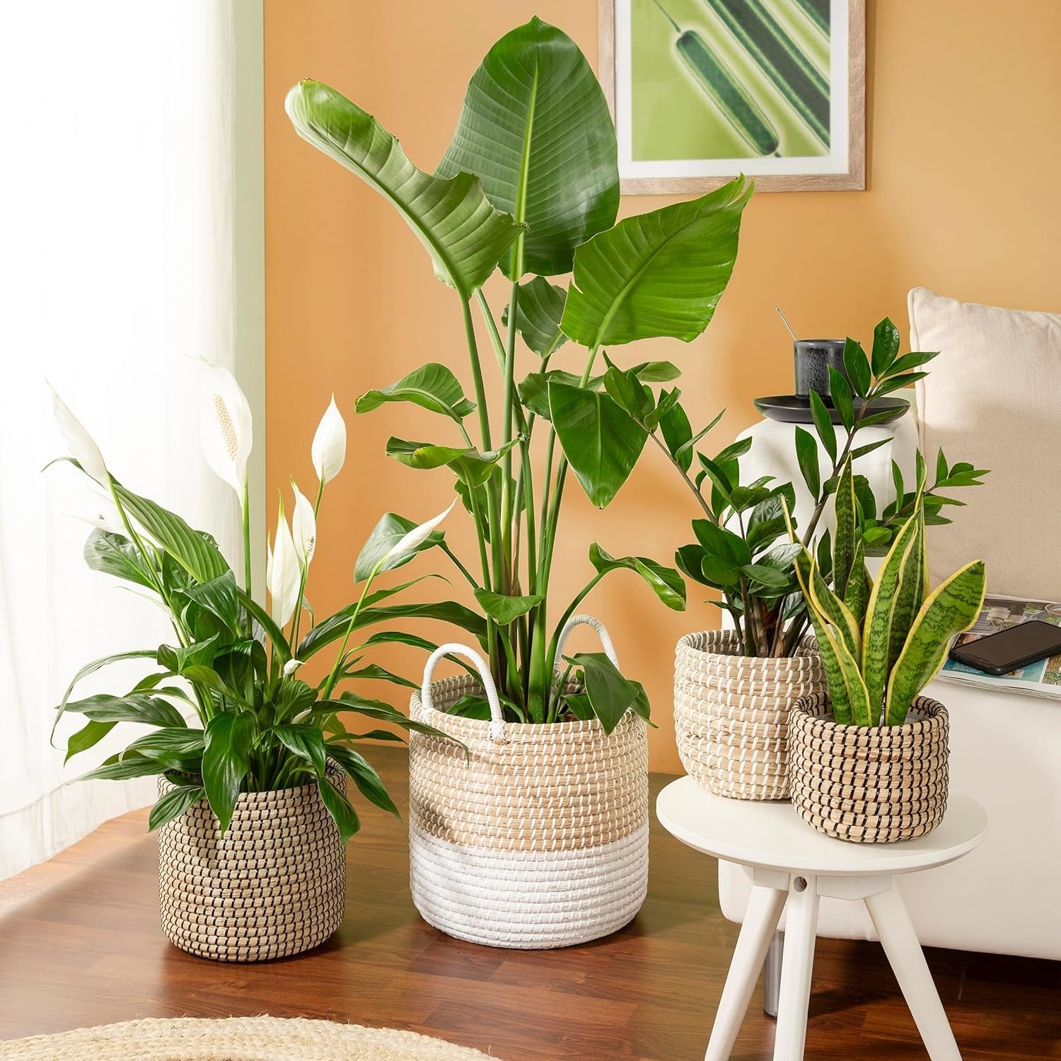 Scheurich Seagrass 17, ghiveci tip coș/ghiveci tip coș din iarbă de mare, culoare: Alb, diametru 17 cm, înălțime 16 cm, volum 3,5 l.