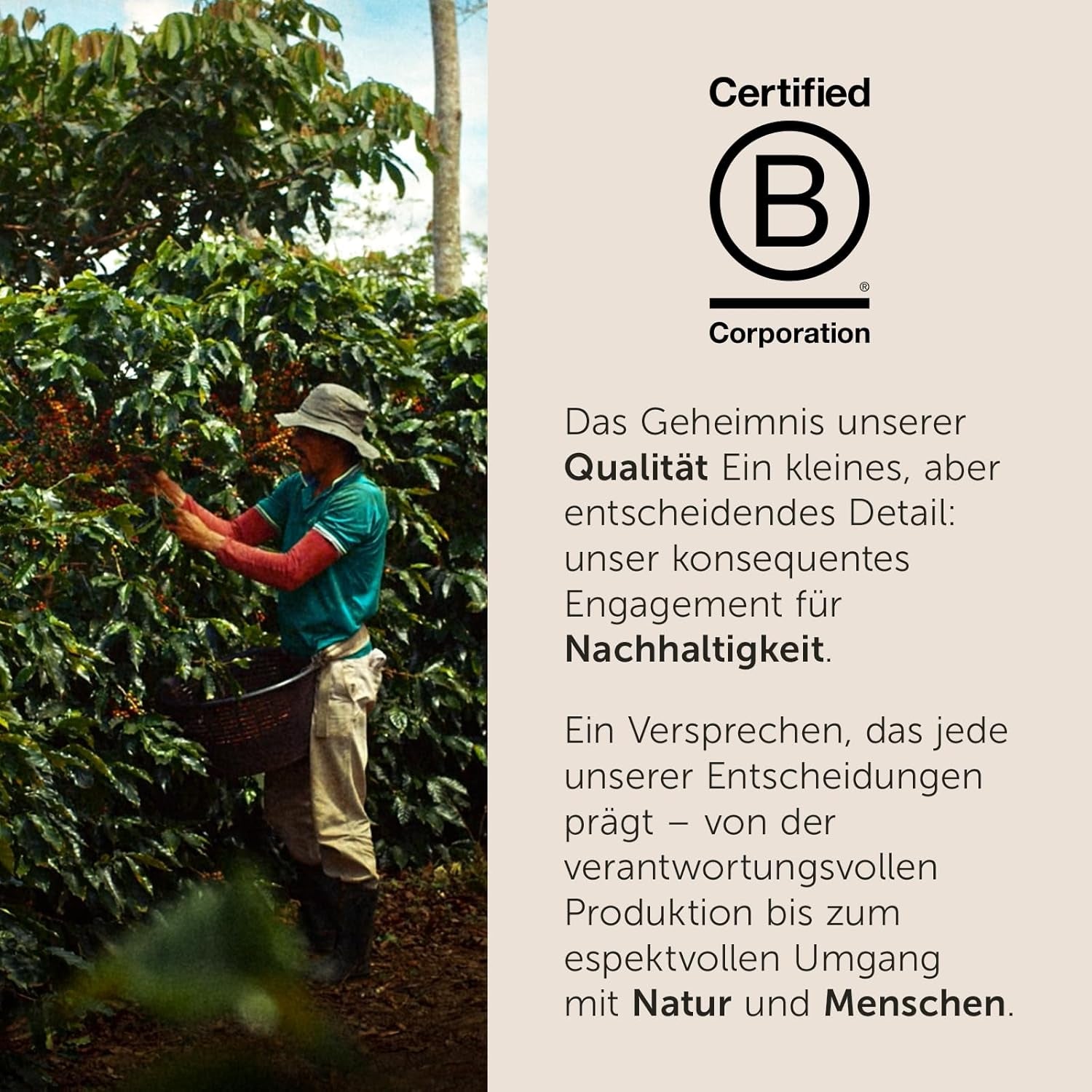 Illy Iperespresso Café capsules classiques Röstung INTENSO, 1 Packungen zu je 18 Café capsules