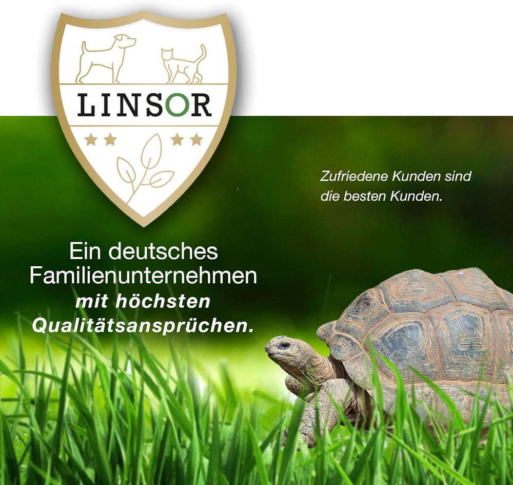 Gründüngung Sommeraussaat, Saatgut, Humusbildung, Bienenmagnet, 1Kg Für 250M²