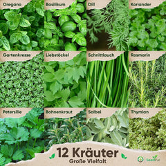 Kräutersamen Set - 12 Beliebtesten Küchenkräuter - Kräuter der Provence, Italian Kräuter - Kräutergarten für Küche oder Balkon - Samen Saatgut - Gartenkräuter Sorten