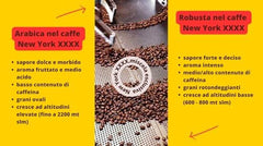 Caffè New York - XXXX - Café en grains, arôme intense mais fin, Arabica et torréfaction moyenne, robuste, à moudre, expresso italien, mélange de bar - haute qualité depuis 1930 - 1 kg, en grains