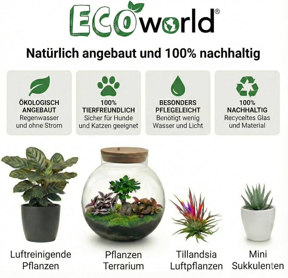 Vdvelde.Com - Luftreinigende Pflanzen 6 - Tierfreundliche Grüne Zimmerpflanzen - Einfacher Und Geringer Lichtbedarf - Ø12 Cm ↥Ca.40 Cm