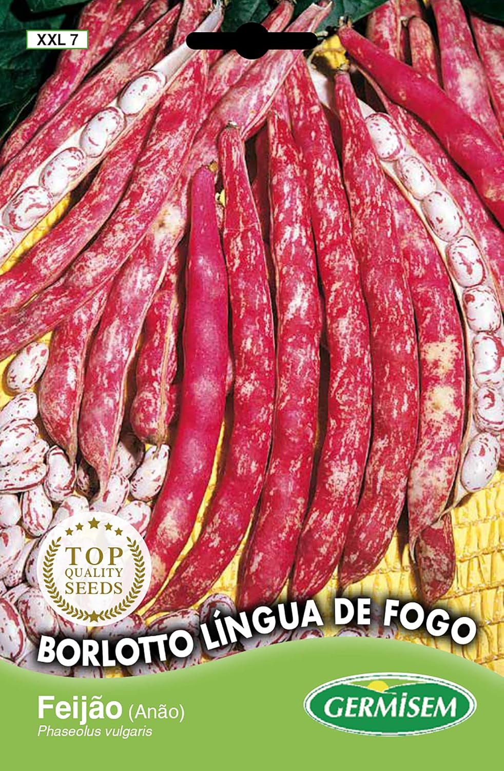 Buschbohnen LINGUA DE FOGO, Mehrfarbig, XXL 7