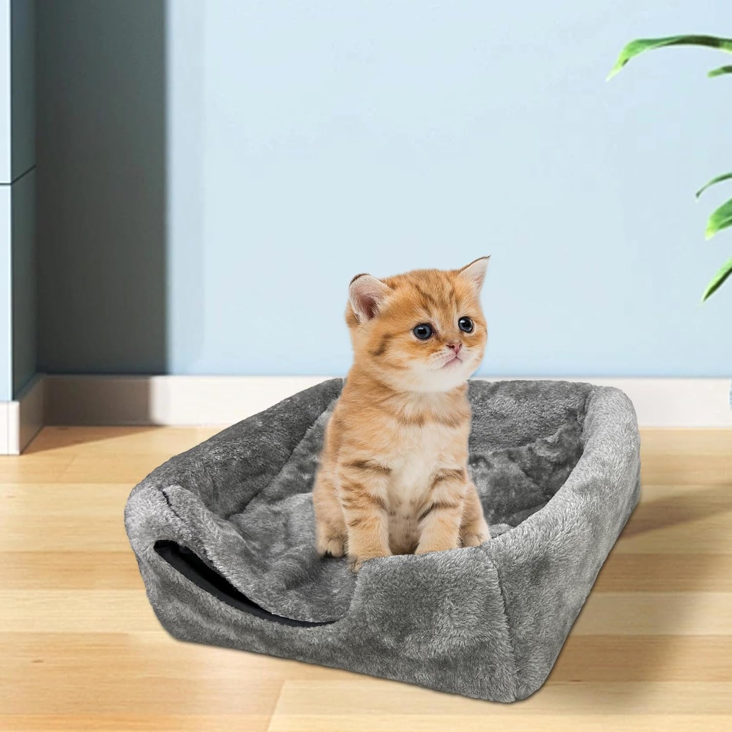 Pături & Mobilier, Animale de companie, Peșteri & Case, Pisici, Paturi pentru pisici, Pisici - culcusuri, saltele