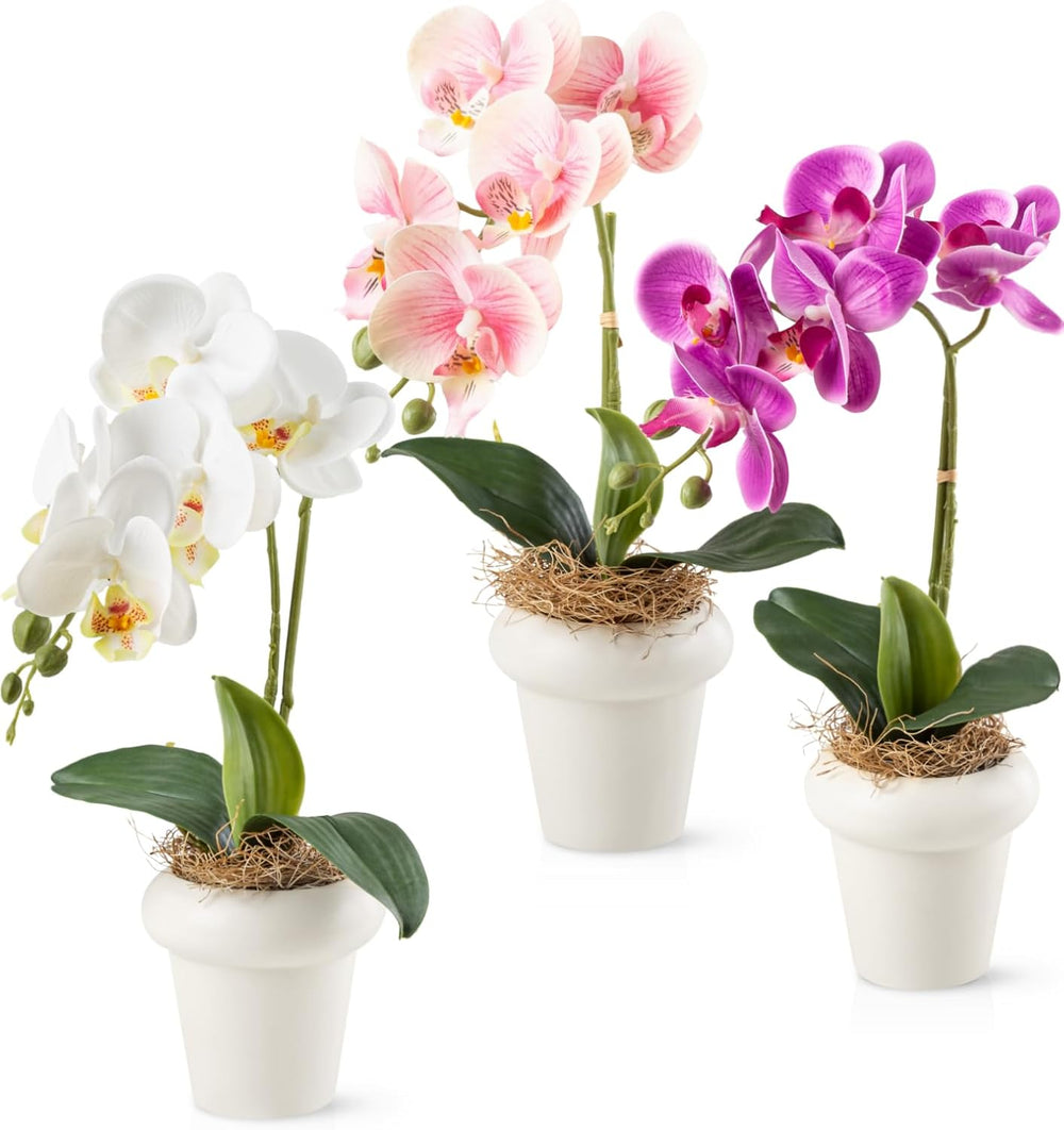 PASCH® Begonie Im Hochglanz-Keramiktopf | Kunstblumen Im Topf | Künstliche Blumen Wie Echt | Fake Blumen | Kunstblumen Wie Echt (Japanische Begonie, 3 Stück, 16Cm)
