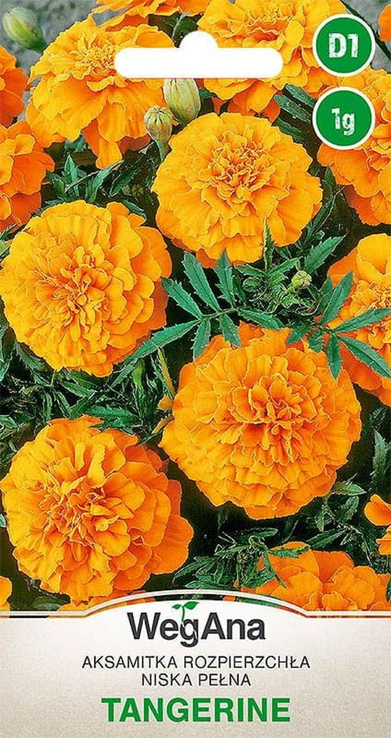 Cosmos Sensation Mix 1g graines, Cosmos Mix Fleurs d'été, Plantes de jardin Plantes de balcon, Graines de fleurs