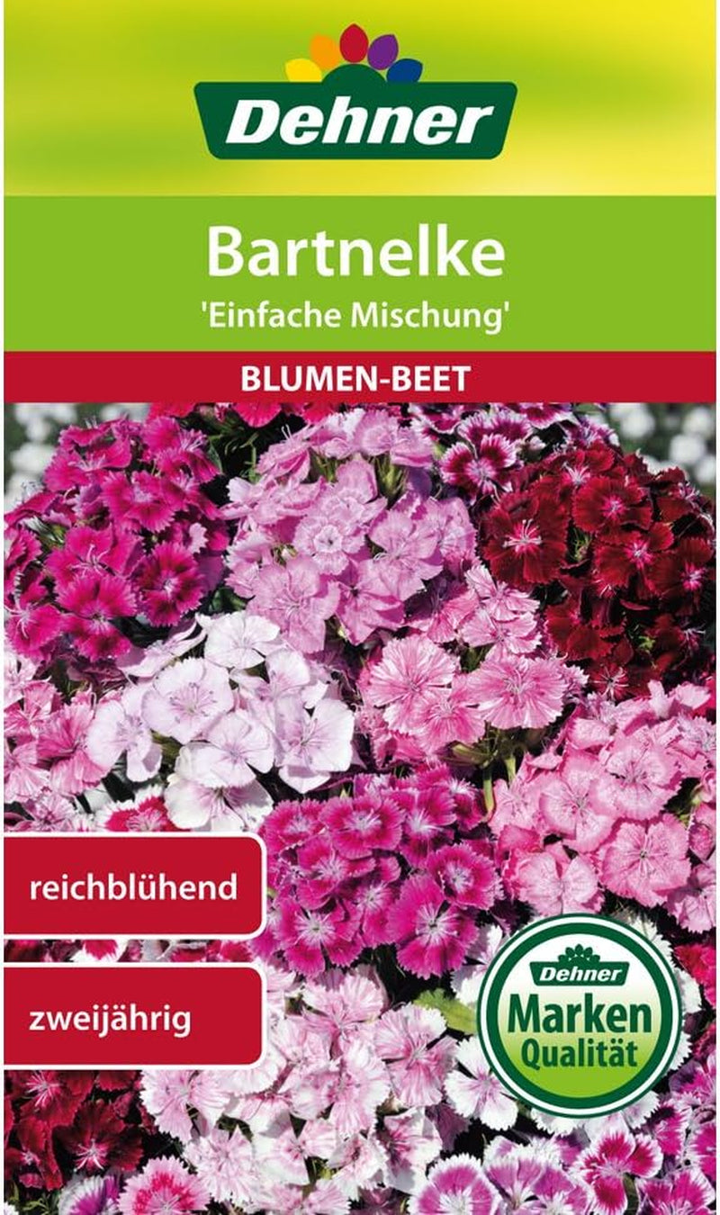 Dehner Blumen-Saatgut, Bartnelke, "Einfache Mischung", 5Er Pack (5 X 1.3 G)