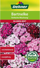 Dehner Blumen-Saatgut, Bartnelke, "Einfache Mischung", 5Er Pack (5 X 1.3 G)