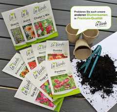 La Verde MEIN GARTEN UND ICH. Orange Sun Sonnenblumen Samen Für Ca. 30 Pflanzen, Gefüllte Orange Blüten, Eintriebig Und Schnittgeeignet, Blumensamen Ohne Gentechnik