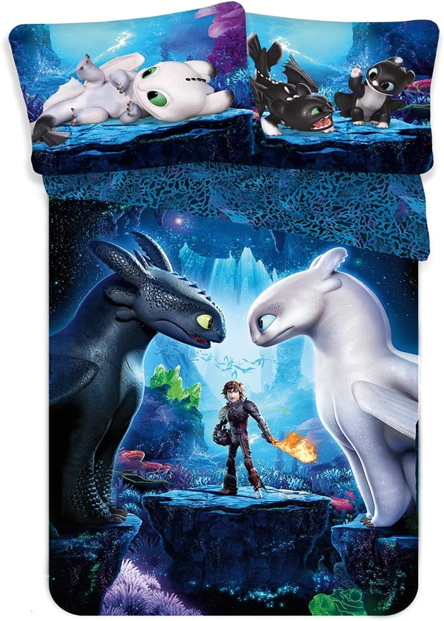 Literie enfant films et dessins animés, réversible, coton Literie - enfant Naty Shop Comment dresser votre dragon