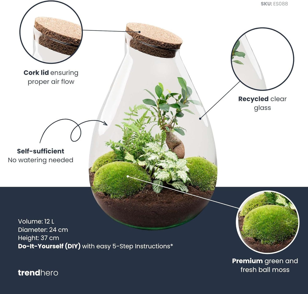 Urbanjngl - Drop XL Terrarium Grün - DIY Kit Für Pflanzen - Ø 24 Cm, Höhe 37 Cm - Inklusive Kork - Ideal Für EIN Nachhaltiges Ökosystem