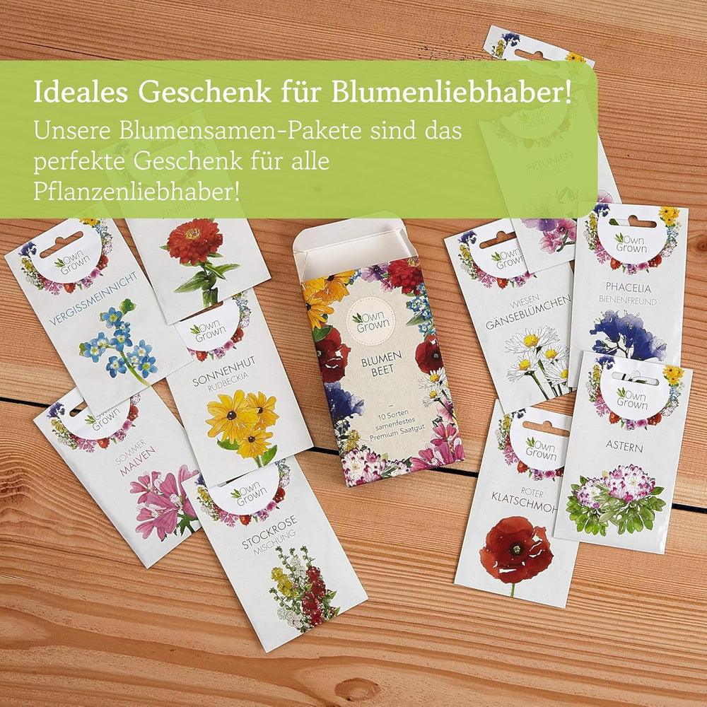 Graines d'échinacée : Graines d'échinacée jaune de qualité supérieure pour environ 20 plantes d'échinacée à fleurs – Graines de Rudbeckia – Rudbeckia rustique – Plantes vivaces d'échinacée – Plantes vivaces rustiques par OwnGrown