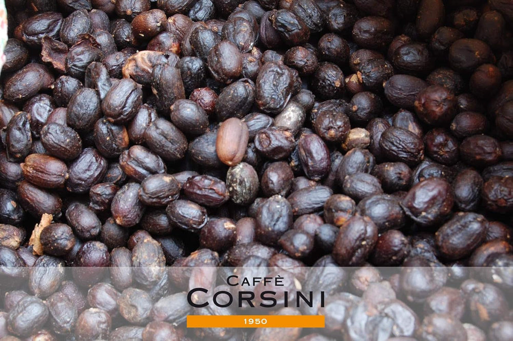 Caffè Corsini - Café en grains 3 X 250 grammes, Compagnia Dell'Arabica, différentes saveurs, origine unique, total 750G Café Naty Shop