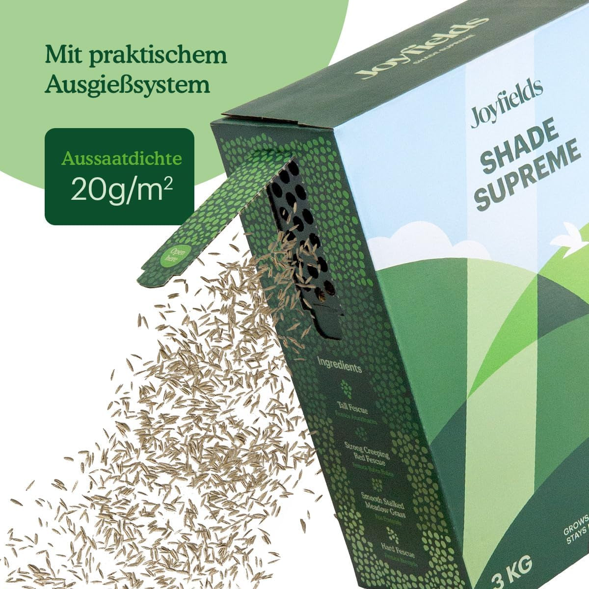 Family Lawn - Sport- Und Spielrasen-Samen - 1 Kg Für 50 M² - Widerstandsfähig Bei Intensiver Nutzung - Schnelle Regeneration Nach Schäden - Mit Beschichtung Für Optimale Keimung