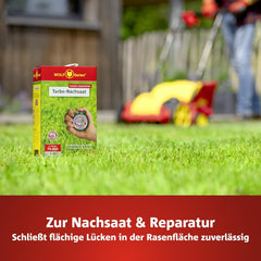 Wolf-Garten Turbo-Nachsaat Zur Rasensanierung LR50 (Für 50 M2, Hohe Dichte Mit Ca. 70.000 Trieben/M2, Für Alle Rasentypen Geeignet, Mit Wolf-Garten Keimgarantie, Im 1Kg Karton) 3826031