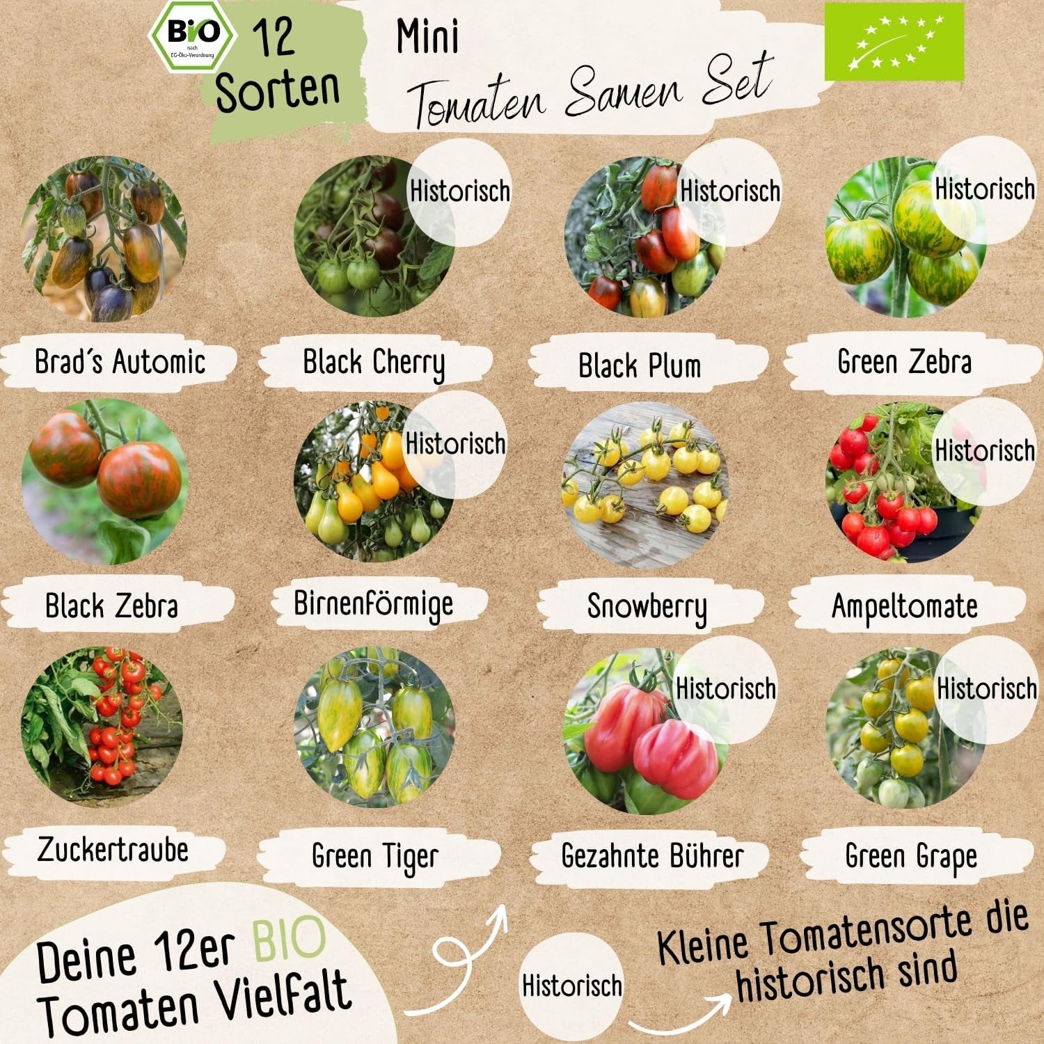 Ensemble de mini graines de tomates biologiques : 12 variétés de tomates cultivées librement | Graines de Tomates Cerise et Beefsteak Rares et Familiales | Graines de légumes pour balcon, plate-bande surélevée, jardin et cadeau | Plantes d'amour