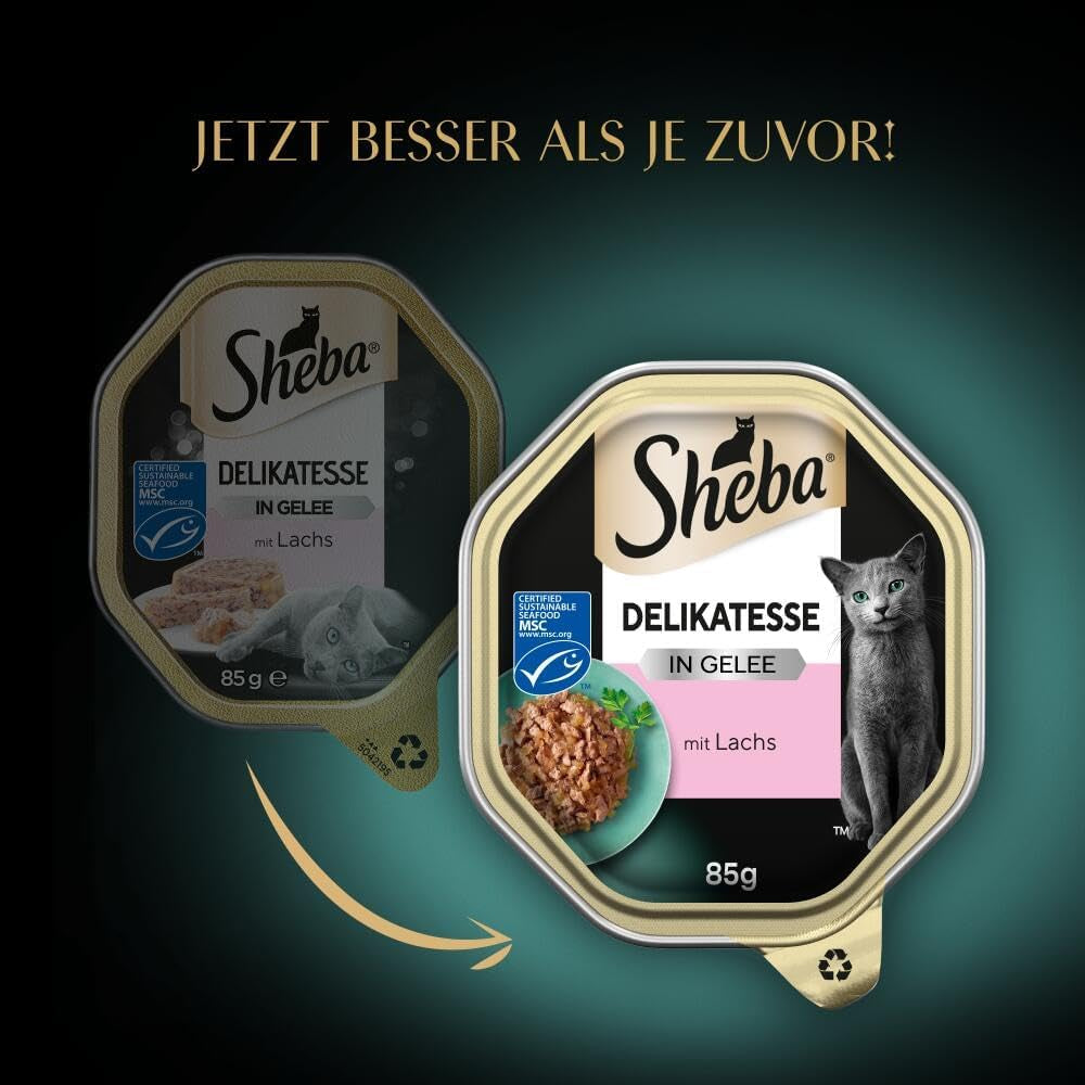 Hrană umedă pentru pisici Sheba, Delicatess în jeleu cu somon, 2 x 11 x 85g