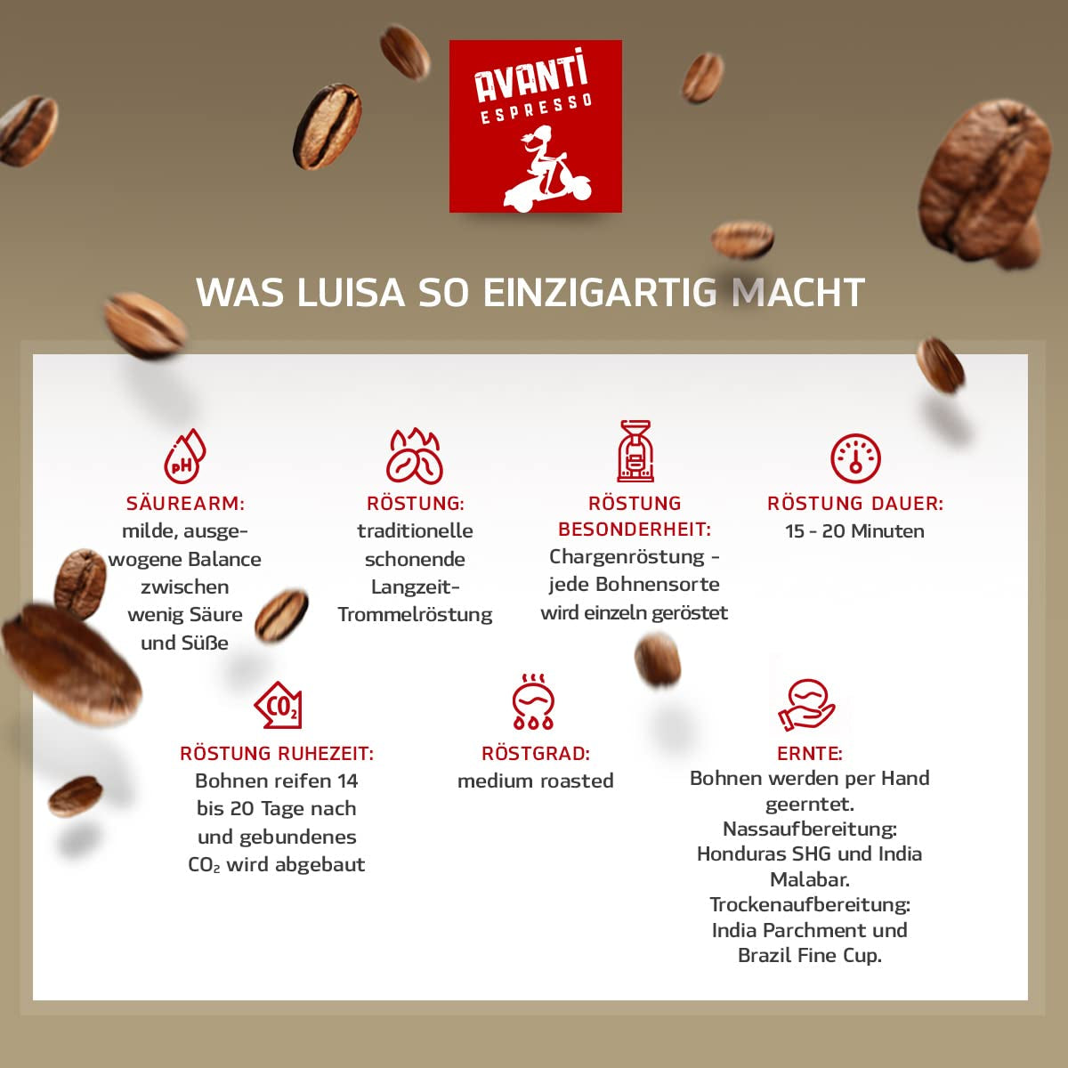Crème en grains de café Avanti Luisa 1000g, mélange 90% Arabica-10% Robusta, arôme délicat et fruité, torréfaction traditionnelle au tambour