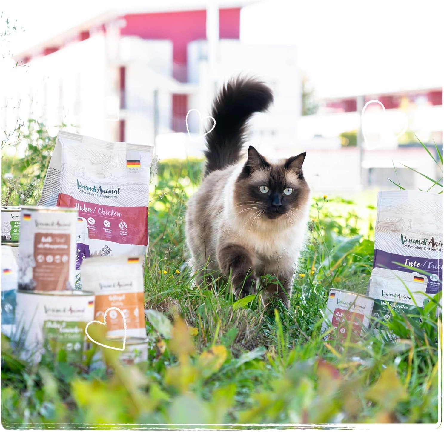 Venandi Animal Premium Nassfutter für Katzen, Probierpaket II, Poulet + Lapin, Kalb, Dinde, 6 x 400 g, sans gluten et naturellement, 2,4 kg