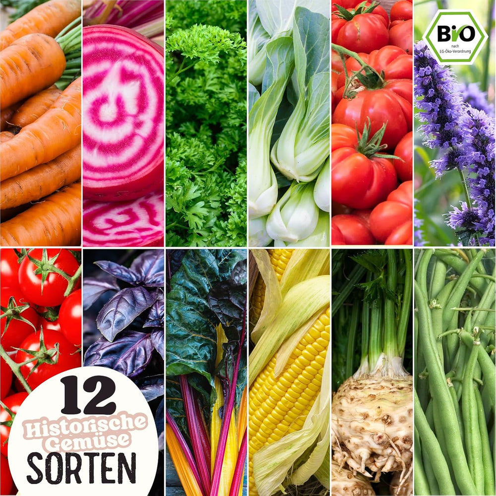 BIO Historisches Gemüse Samen Set I Seltene U. Alte Gemüsesorten Samen Im Gemüsesamen Set I Gemüse Anzuchtset I Samenfestes Saatgut I Samen Gemüse Als Gemüse Samen Set I Tolles Garten Geschenk