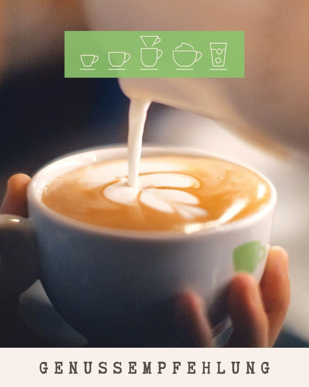 Café - Santa Elena I 100% Arabica I Kaffeebohnen 250g I Perfekt für jede Zubereitung - Moka Kanne, Siebträger, Vollaautomat, mit schokoladig, fruchtig süssen Aromen I miltre Röstung