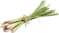 Grass - Zitronengras EC0005 Mehrfarbig