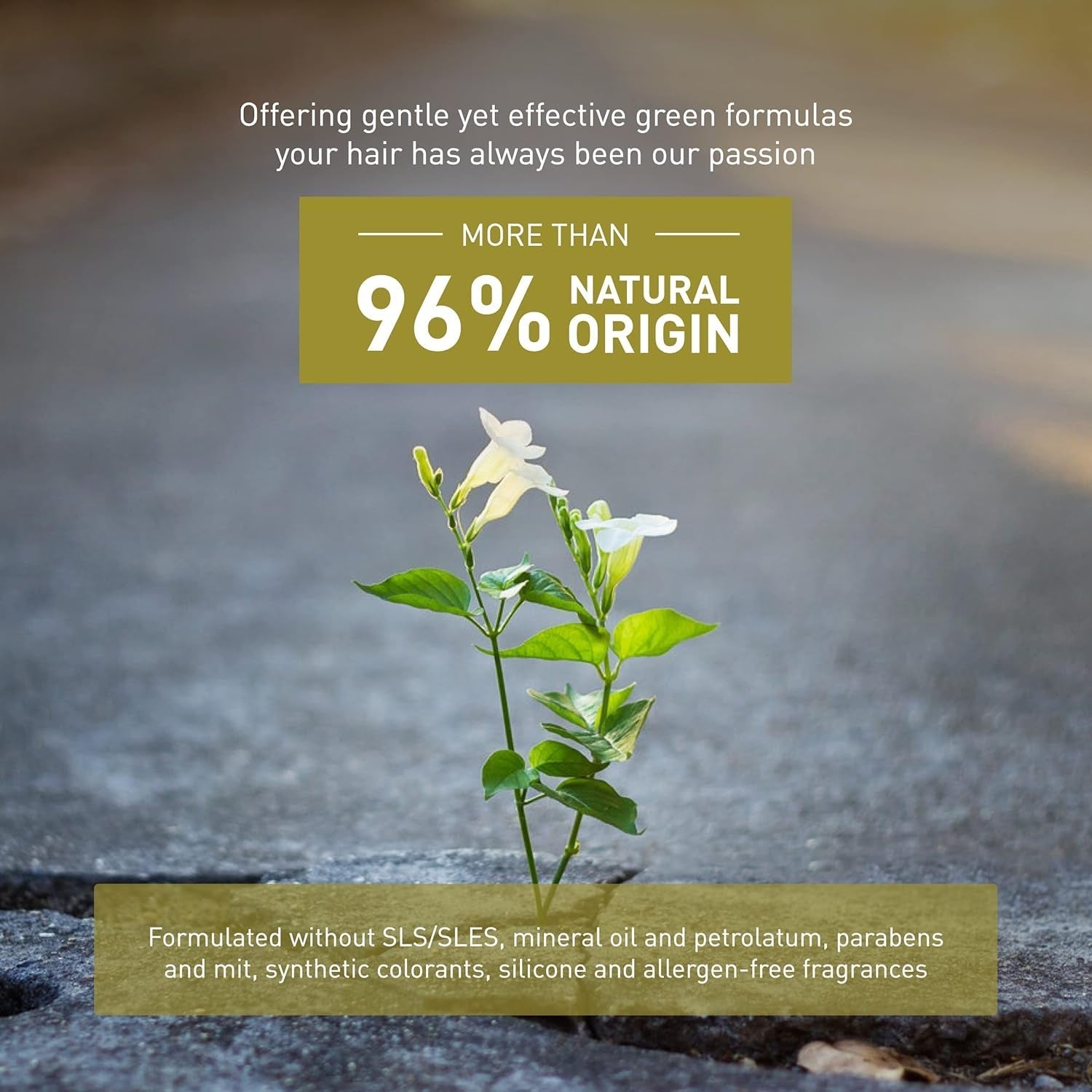 MASQUE HYDRATANT ANTI-FRISOTTES 250 ml Masque capillaire Naty Shop