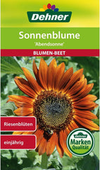 Dehner Blumen-Saatgut, Sonnenblume "Abendsonne", 5Er Pack (5 X 4 G)