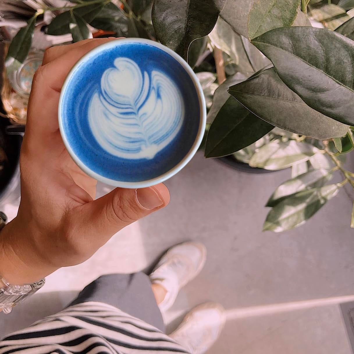 Chaï Latté Bleu