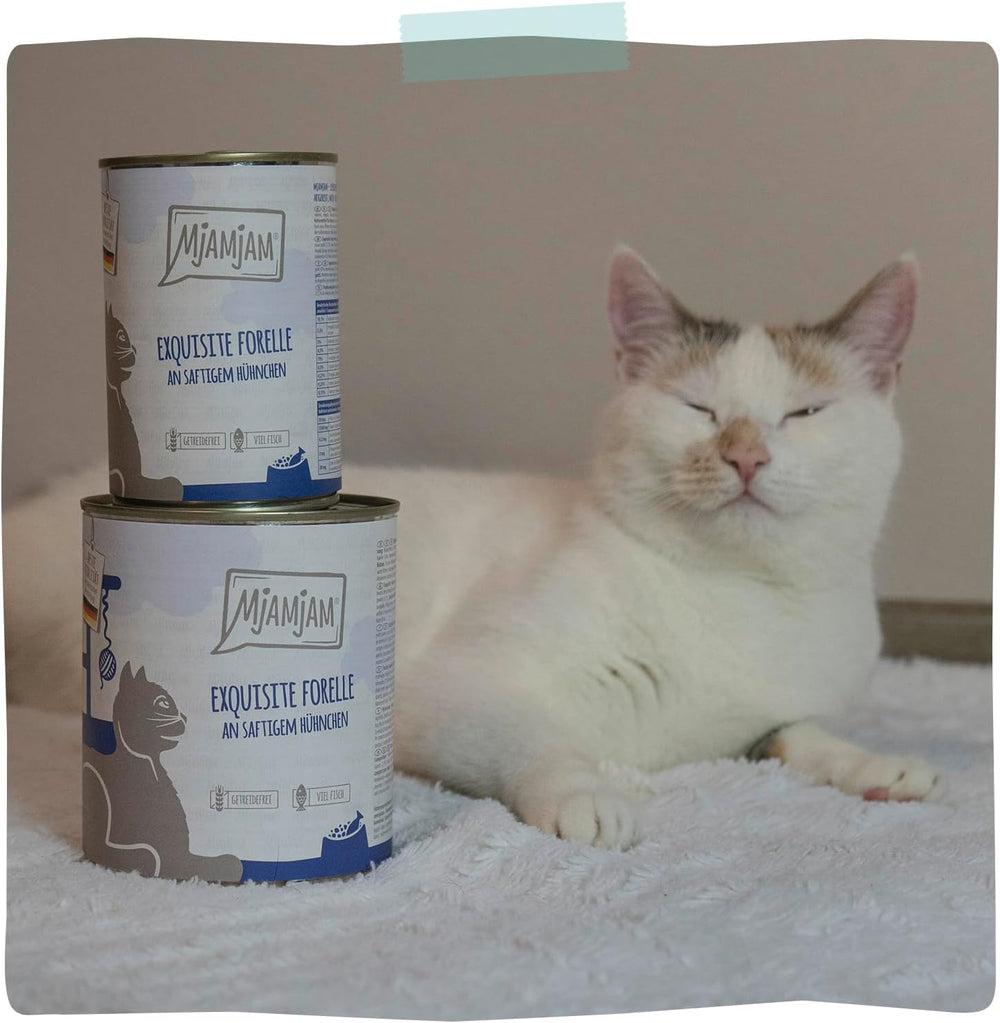 MjAMjAM - Hrană umedă premium pentru pisici - păstrăv rafinat cu pui suculent, pachet de 6 (6 x 400g), fără cereale