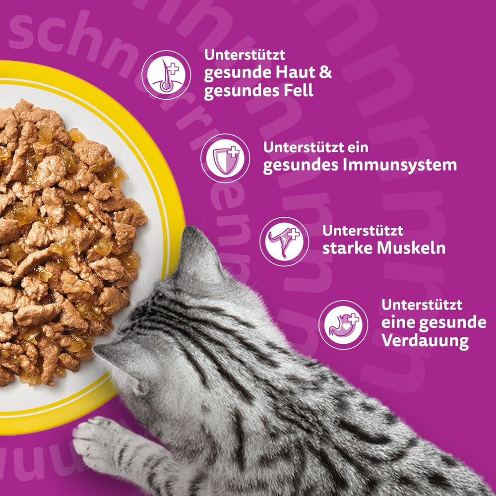 WHISKAS Nourriture humide pour chat en gelée 120 x 85g Sélection de volailles