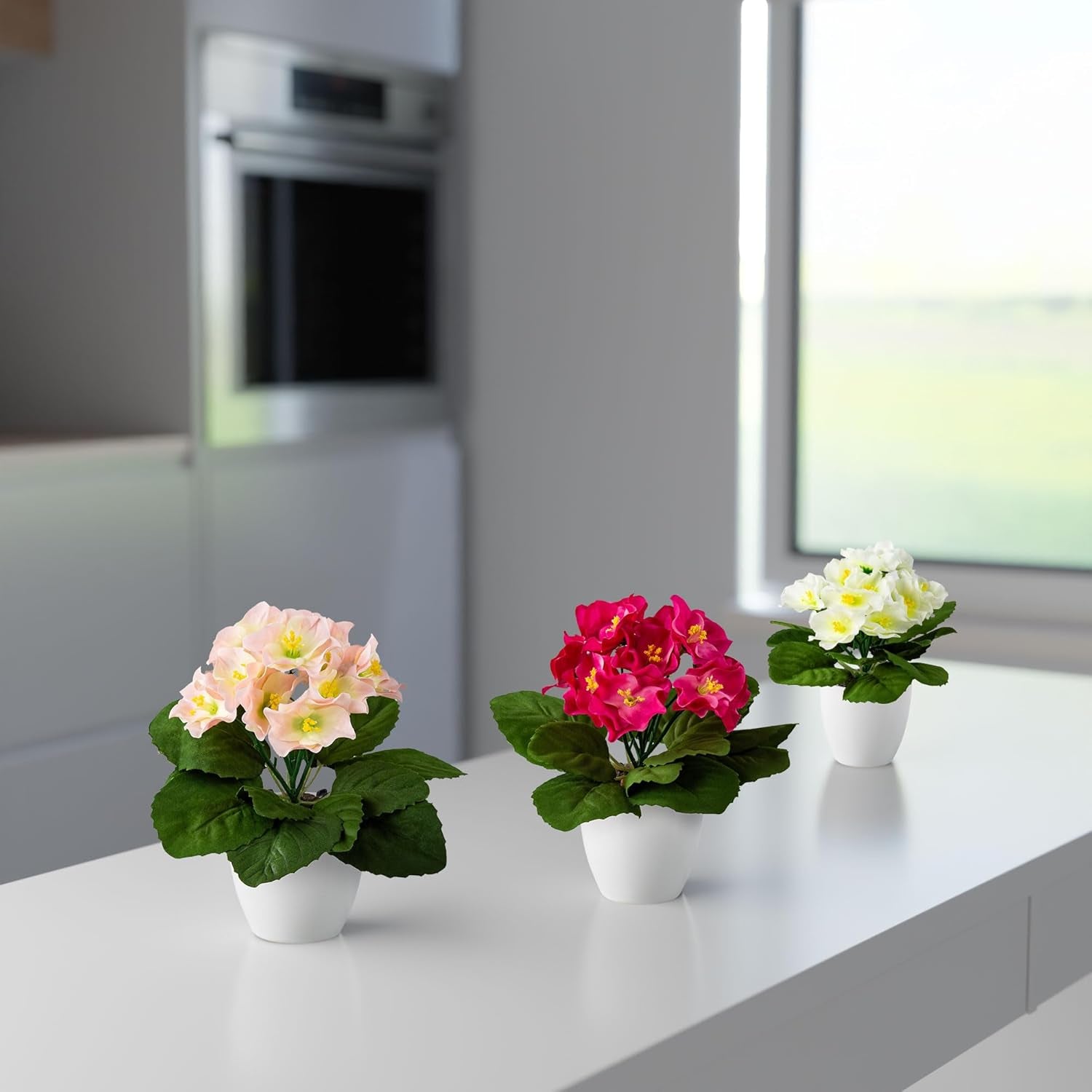 PASCH® Begonie Im Hochglanz-Keramiktopf | Kunstblumen Im Topf | Künstliche Blumen Wie Echt | Fake Blumen | Kunstblumen Wie Echt (Japanische Begonie, 3 Stück, 16Cm)