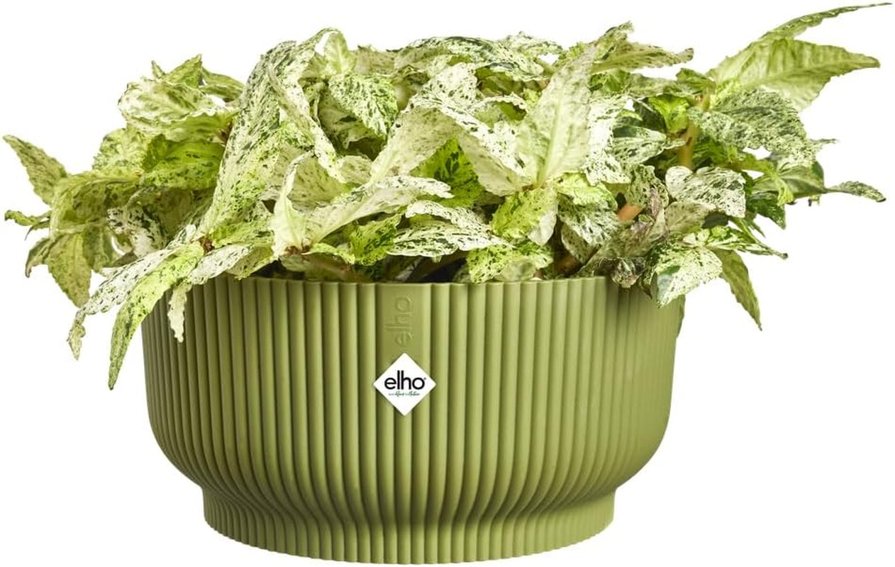 elho Vibes Fold Bowl 25 - Pots de fleurs d'intérieur - 100% plastique recyclé - Ø 24,9 x H 12,1 cm - Vert/Ferngrün