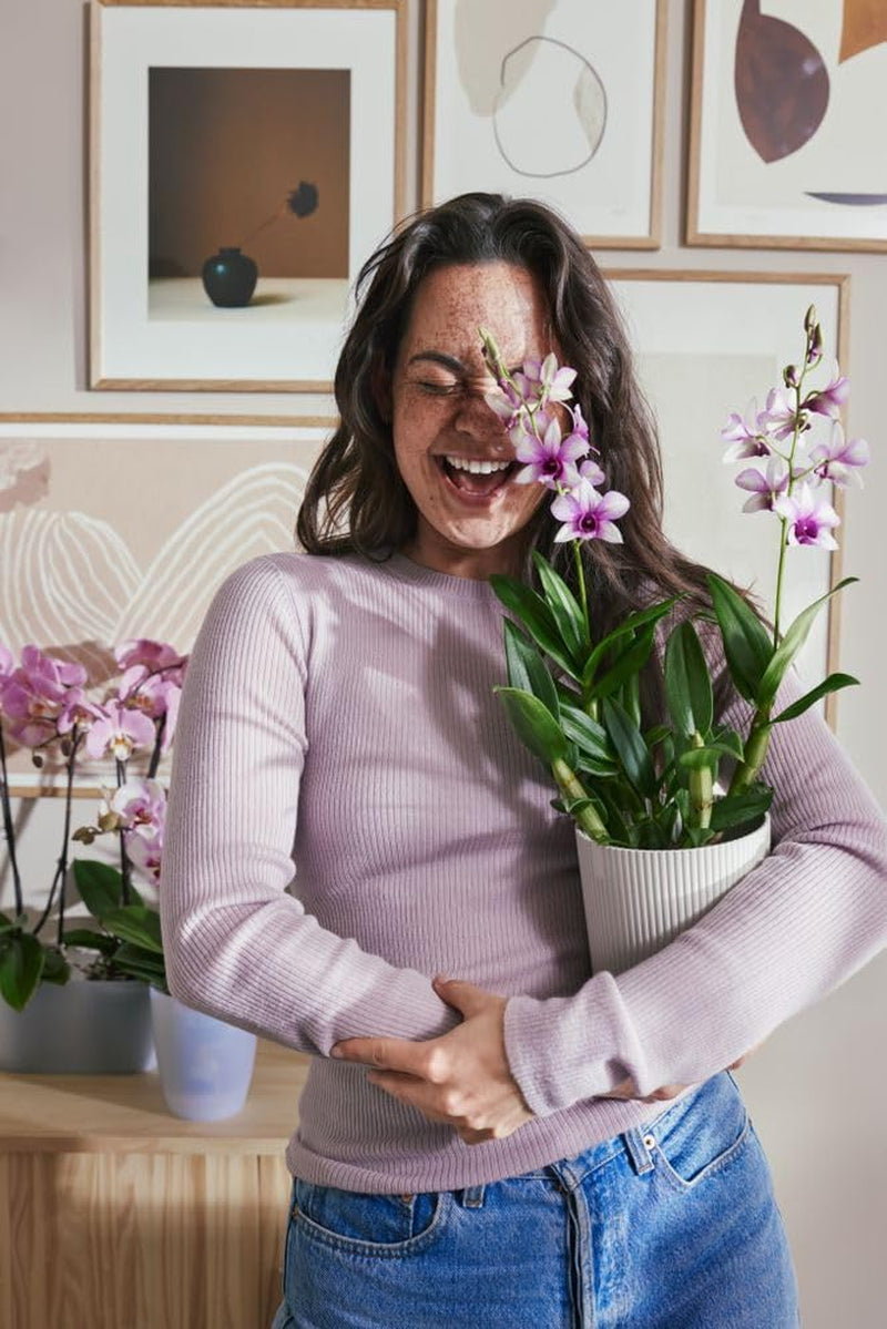 elho Vibes Fold Orchid High 12,5 cm - Pots d'orchidées d'intérieur - Pots de fleurs d'intérieur - Plastique 100% recyclé - Blanc/Blanc soyeux