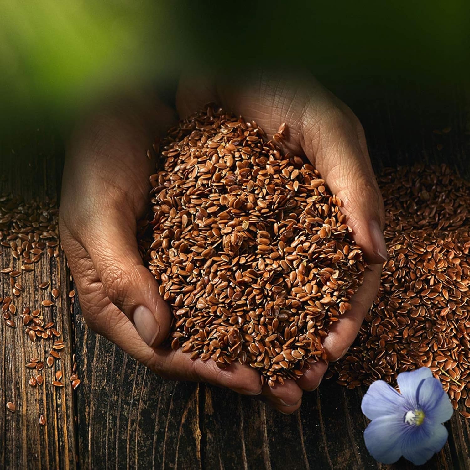 Graines de lin entières biocentrales | 7 x 400g de graines de lin bio | Idéal pour le yaourt, le muesli et le pain | Alternative au psyllium, aux graines de chanvre et aux graines de chia